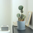 New Design Round Shape Ceramic Pot In Morandi Color With Drainage Hole For Home Garden Decor