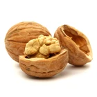 Shell Quality First Walnuts In Shell Price In Shell Walnut