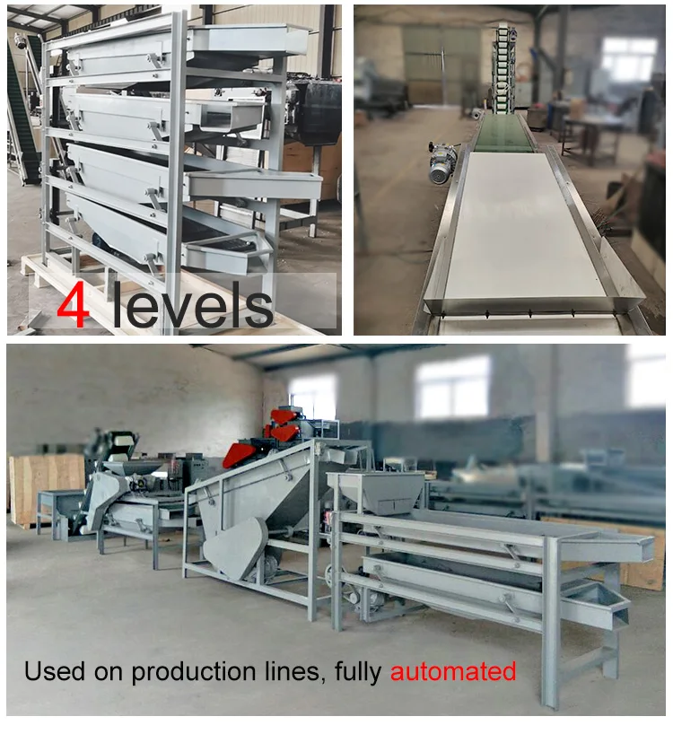 China Manufacturer's New Stainless Steel Automatic Peanut Groundnut Grading Sorting Machine Motor Engine Nuts Corn Soybean factory