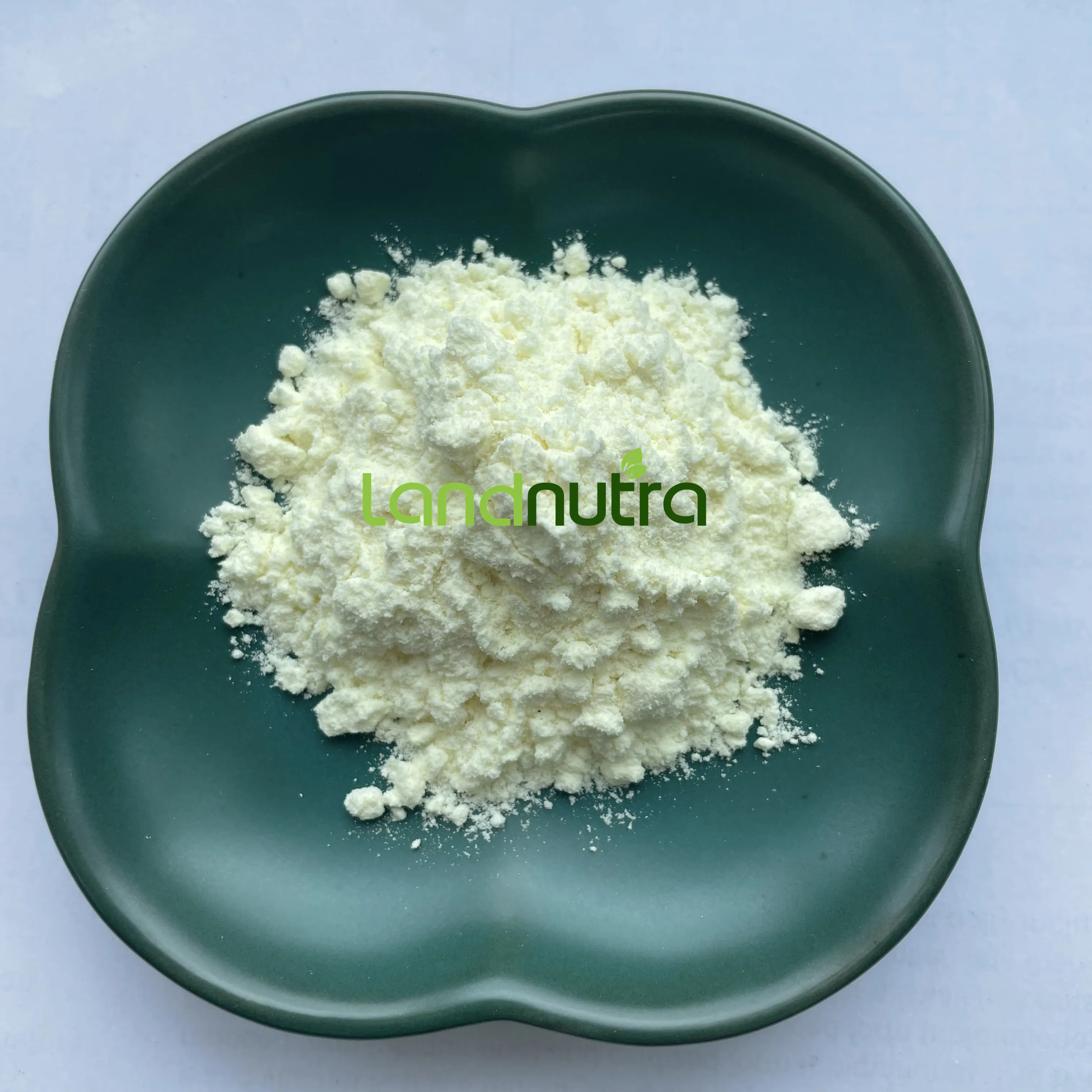 Wholesale Bulk Allicin Dehydrated Garlic Extract Powder Allicin Garlic Extract