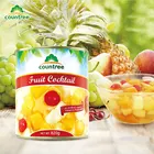 Cocktail Cocktail Fruit China Quality Manufacturer Natural Canned OEM Mix Fruit Cocktail