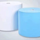 Woven Pp Spun-bonded Non Woven Fabric For Bags Industry Hospital 100% Polypropylene