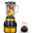Vegetable Blender Manual Machine Juicer Orange Oem Copper Motor Golden Stainless Power Mixer Sliver