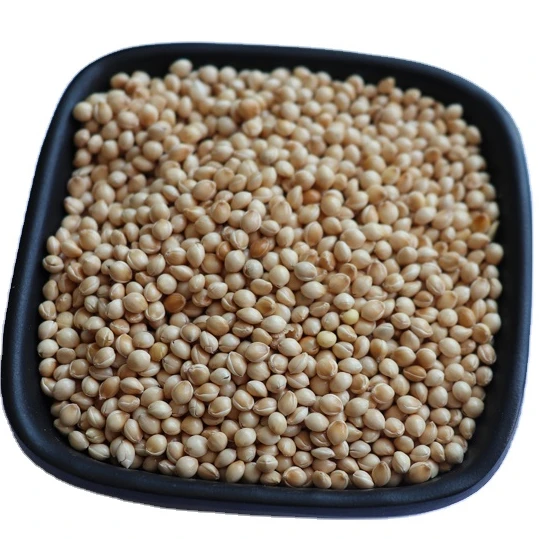 white corn millet