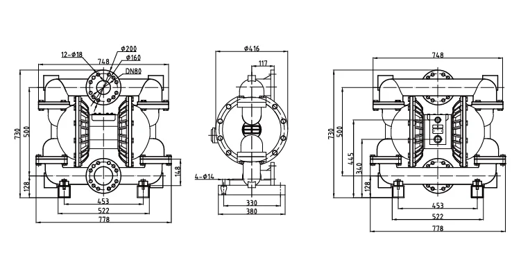 3 Inch Ductile Iron Pneumatic Diaphragm Pump with 270 gpm Flow Rate 1 Year Warranty for Industrial Applications