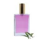 Perfume 50 Ml Square Flat Glass Perfume Bottles Spray Perfume Bottle Wholesale Perfume Atomizer