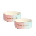 Ceramic Bowl Ceramic 2021 Hot Sale OEM/ODM Nano Bacteriostat Ceramic Pet Bowl