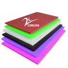 Foam Board Custom Printing PVC PP Foam Hollow Plastic Card Corrugated Roll For Wall Photography Display Sign Board Stand