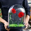 Oval Glass 2 roses