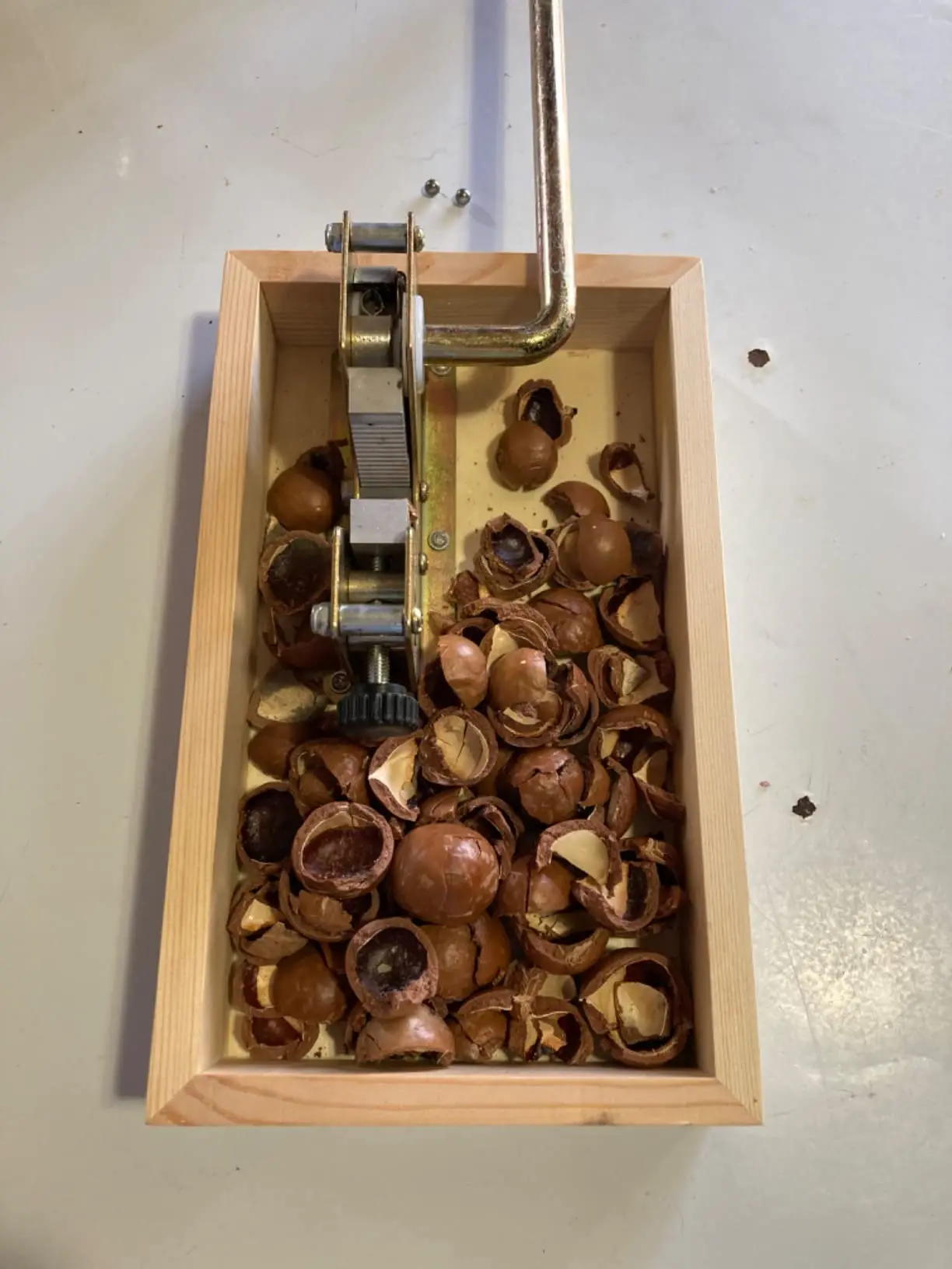 Youlike 2023 New Nutcracker Nut Tongs,Peeling Machine Kitchen Tools Heavy Duty Pecan Nut Cracker Opener Tool