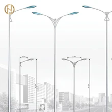 FUTAO Galvanized Lamp Post Pole Street Lighting Pole LED Lights