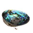 Sea Shells Shell High Quality Hot Sale Rainbow Sea Shells Natural Raw Polished Abalone Shell For Home Decoration