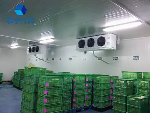 Sqm Chiller, 220 V, 10 W - detail 20