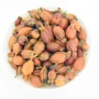 Medicine Whosale Herbs Zhizi GARDENIAE FRUCTUS Gardenia Jasminoides Chinese Herbs Crude Medicine Zhizi