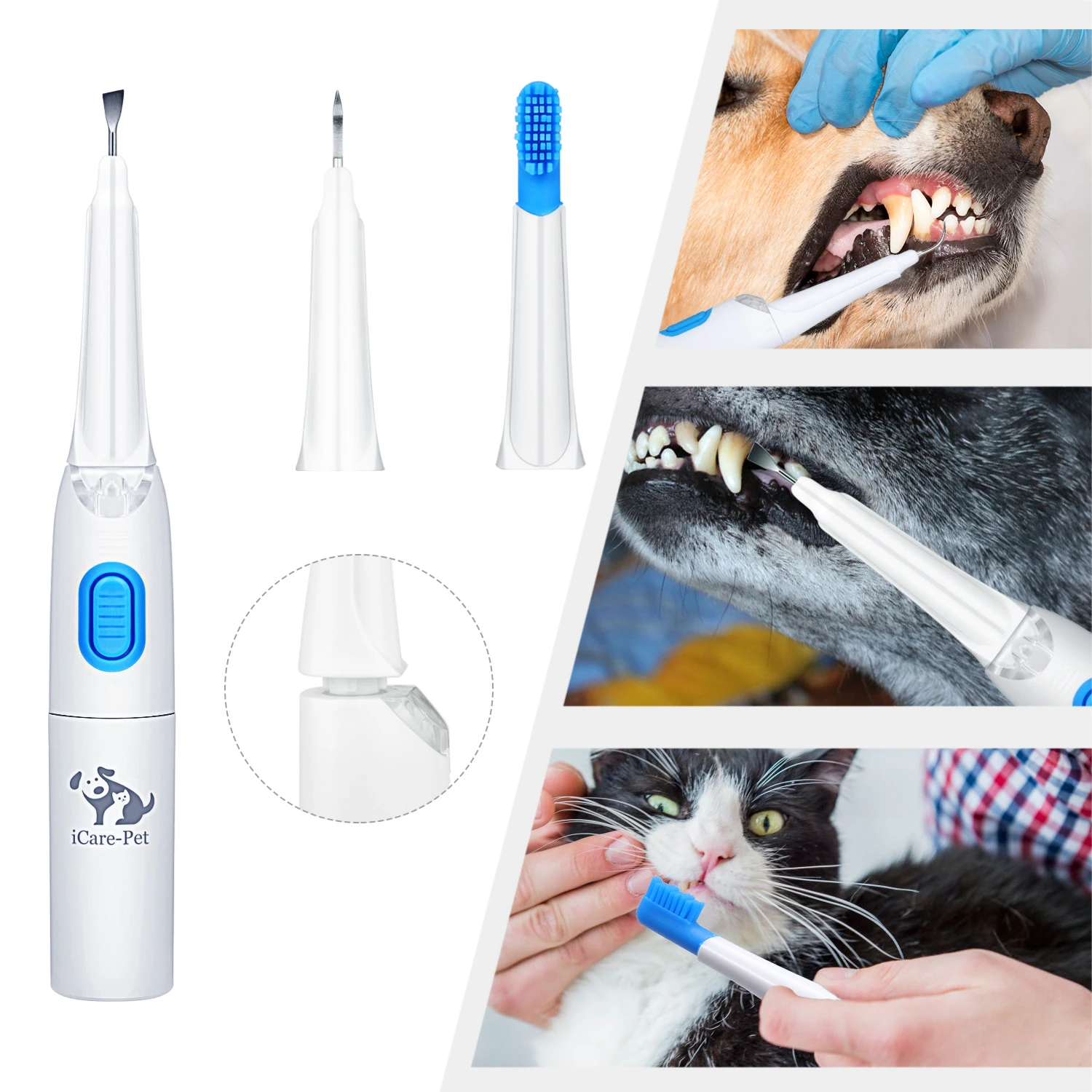 home teeth cleaning dogs