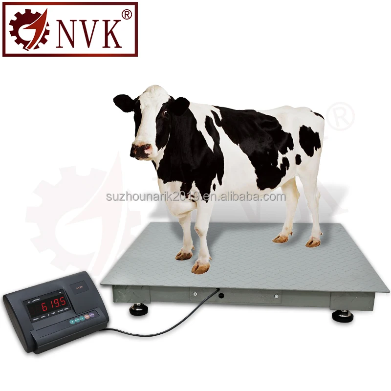 Nvk Weighing Scale Cattle 1000kg Pig Sheep Cow 2 Ton Animal Livestock Scale  Goat 3000kg Industrial Floor Bench Scale For Farm - Buy Digital Weighing  Scales 1000kg,Livestock Scale,Water-proof Floor Scale Product on