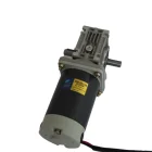 Trade V Assurance Trade 15W 24 V 12v 75 Rpm Worm Gear Motor