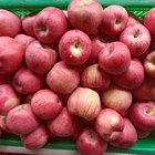 Fuji Apple Fujiapple China Wholesale Fresh Sweet Red Fuji Apple
