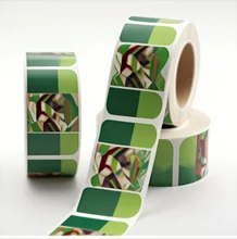 Chinese Factory Custom Printed Waterproof Logo Stickers Fashion Brand Label Design Printing Services