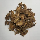 Factory Angelica Pubescens 100% Natural Radix Angelicae Tuhuo