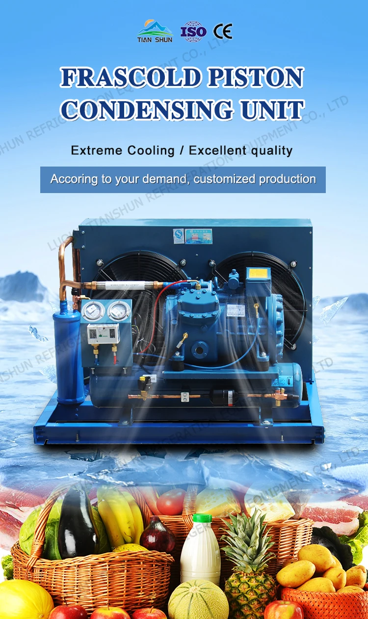 Condensing Unit, 220v, Customizable - detail 2