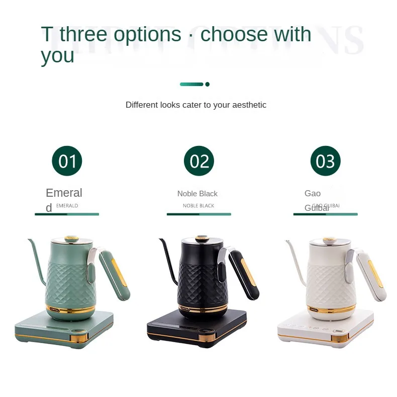 Stainless Steel Electric Kettle Hand Washed Kettle Electric Intelligent