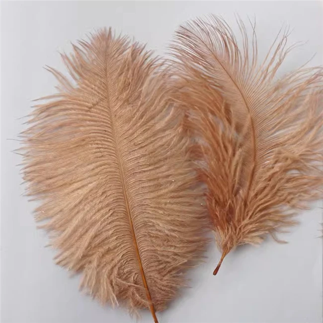 High quality 45-50cm white Large Plume ostrich