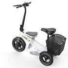 2021 New Design 3 Wheel Electric Scooter 300w With Seat 3wheel Mobility Scooter