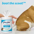 Cleaning Eyes Pet Wipes Cleaning Wipes Pet's Eyes Ears Refresh Antibacterial Wipes For Dogs Disinfecting