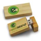 3.0 Stick Engraved Wood USB Flash Drives Pendrive 2 Tb USB 3.0 Customisable USB Stick