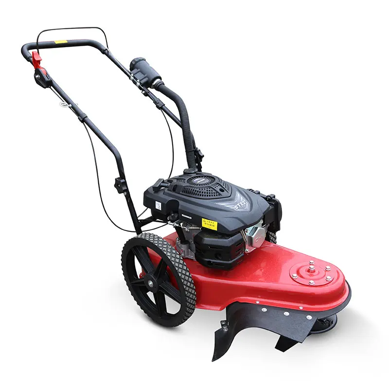 Hand Push Grass Cutter In India For Animal Feed Lawn Mower 196cc Gasoline  Engine Garden Park Orchrd - Buy Hand Push Grass Cutter,Grass Cutter In  India,Grass Cutter For Animal Feed Product on