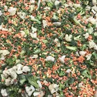 Vegetables Nutrition High Quality Fresh Frozen Mixed Vegetables Bulk Nutrition IQF Mixed Vegetables