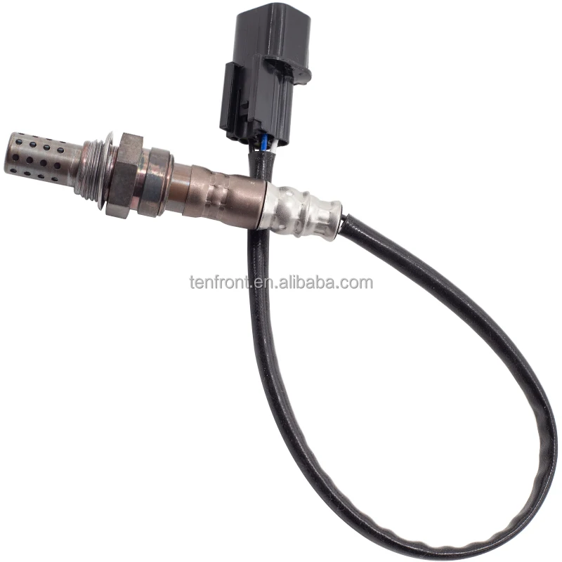 MD312083 (7).jpg