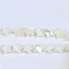 Mother Of Pearl White Mother Of Pearl Star Shape Shell Strand For Diy Making