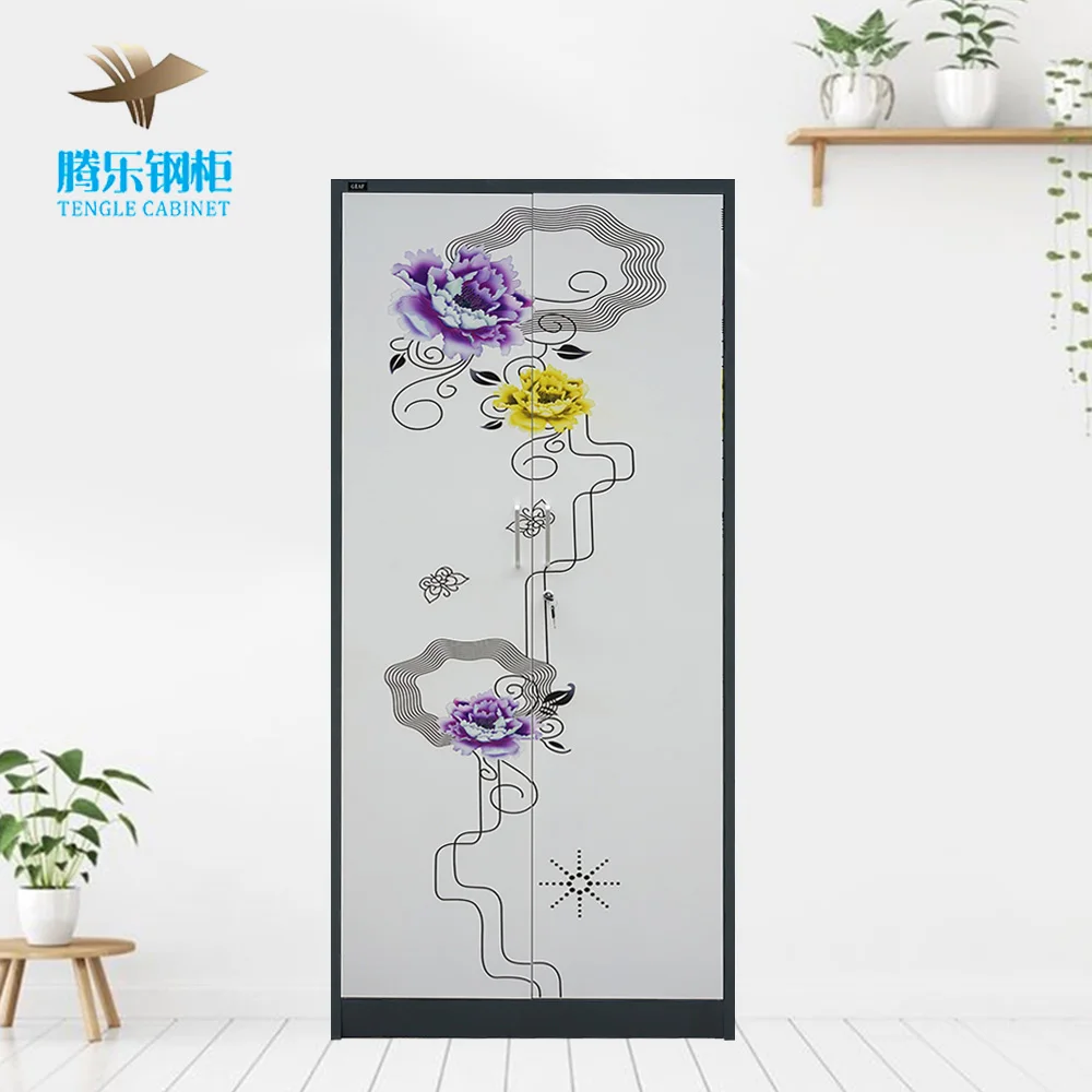 Tengle 2-Door Detachable Steel Almirah Printed Flower Pattern Metal Wardrobe/Clothes Cabinet Bedroom Furniture