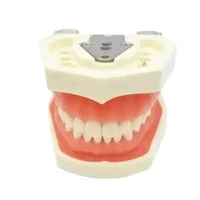 aluminium alloy Dental Photo Contrast