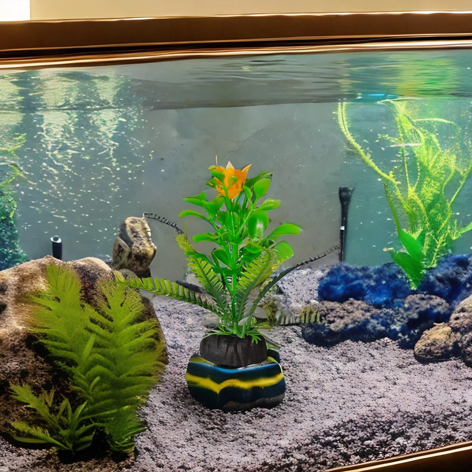 Aquarium Pet Store - The Ultimate Aquatic Paradise