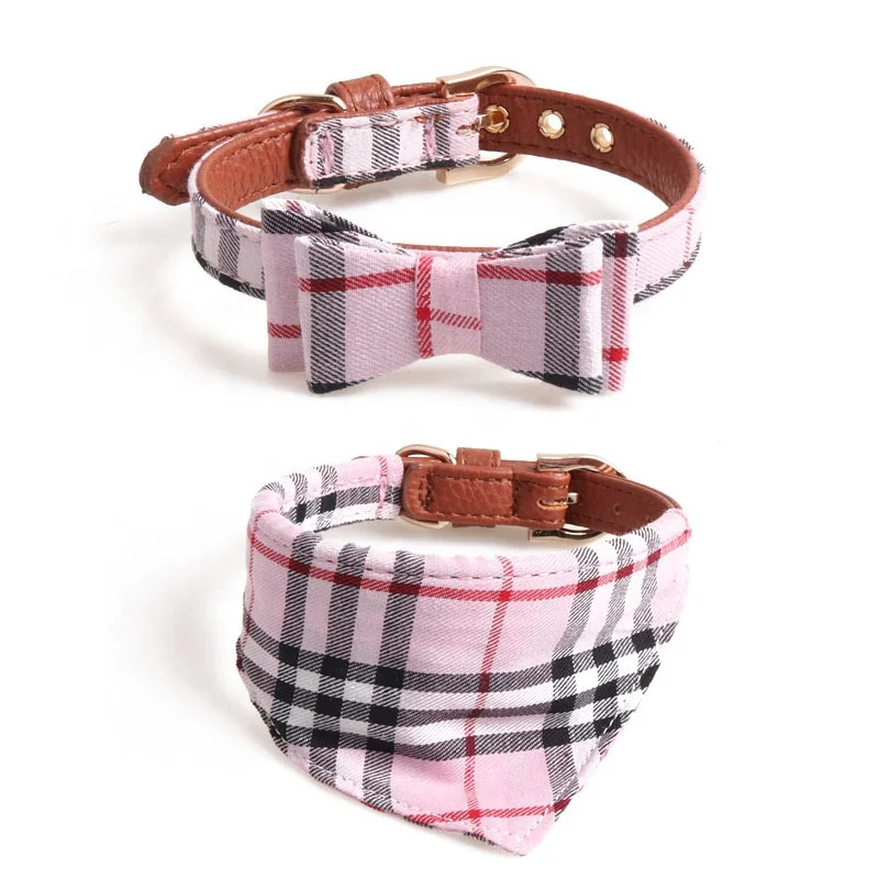 decorative dog collars