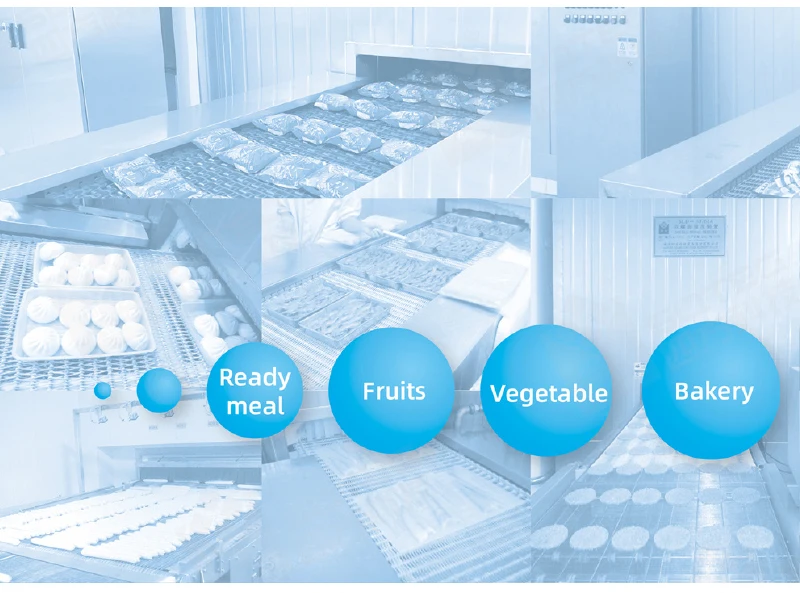 Spiral Freezer, ICESTA, 220V, Stainless Steel 304 - detail 26