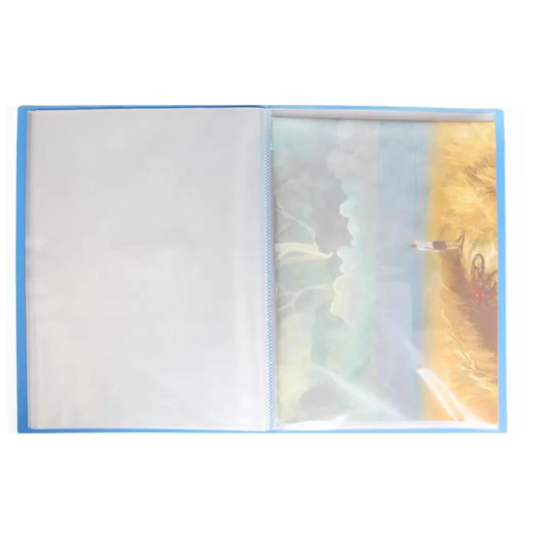 Display Book Organizer PP Dividers Fashion Clear Document File Folder With Clear Pockets