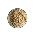 Root Natural Coleus Forskohlii Root Extract 40- 98% Forskolin