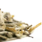 Jasmine Tea Manufacturers Wholesale Quality Best Tasting Fresh Premium Organic Jasmine Flavored Tea