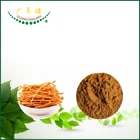 Manufacturer Supply Wholesale 1% Cordyceps Militaris Extract Active Ingredient Cordycepin