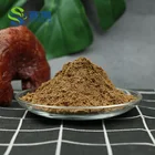 Wholesale Natural Lingzhi Ganoderma Lucidum Organic Red Reishi Mushroom Powder