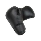 Martial Arts New Fashion PU Leather Boxing Gloves For Training