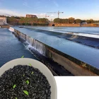 Solvent Carbon High Surface Area Bulk For Solvent Recovery Pellet Activated Carbon