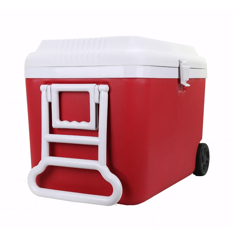 60L COOL BOX PORTABLE COOLBOX INSULATED COOLER ICE FOOD DRINKS TRAVEL CAMPING 