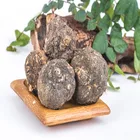 Root Improve Sex Ability And Fertility Maca Root Extract 4:1 Maca Extract Powder