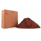 Coir Coconut Peat Coir 5kg Coco Peat Price Coconut Coir Pellet Cocopeat Powder Block 5kg Coir Coco Peat Bag
