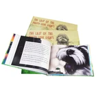 Reading Book Customized Most Popular English A4/A5 Kids Reading Book Hard Cover Bible Book Chinldren Story Book
